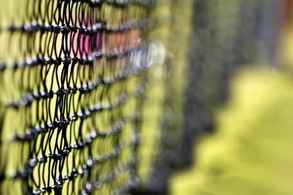 Players set for country championships in Wangaratta