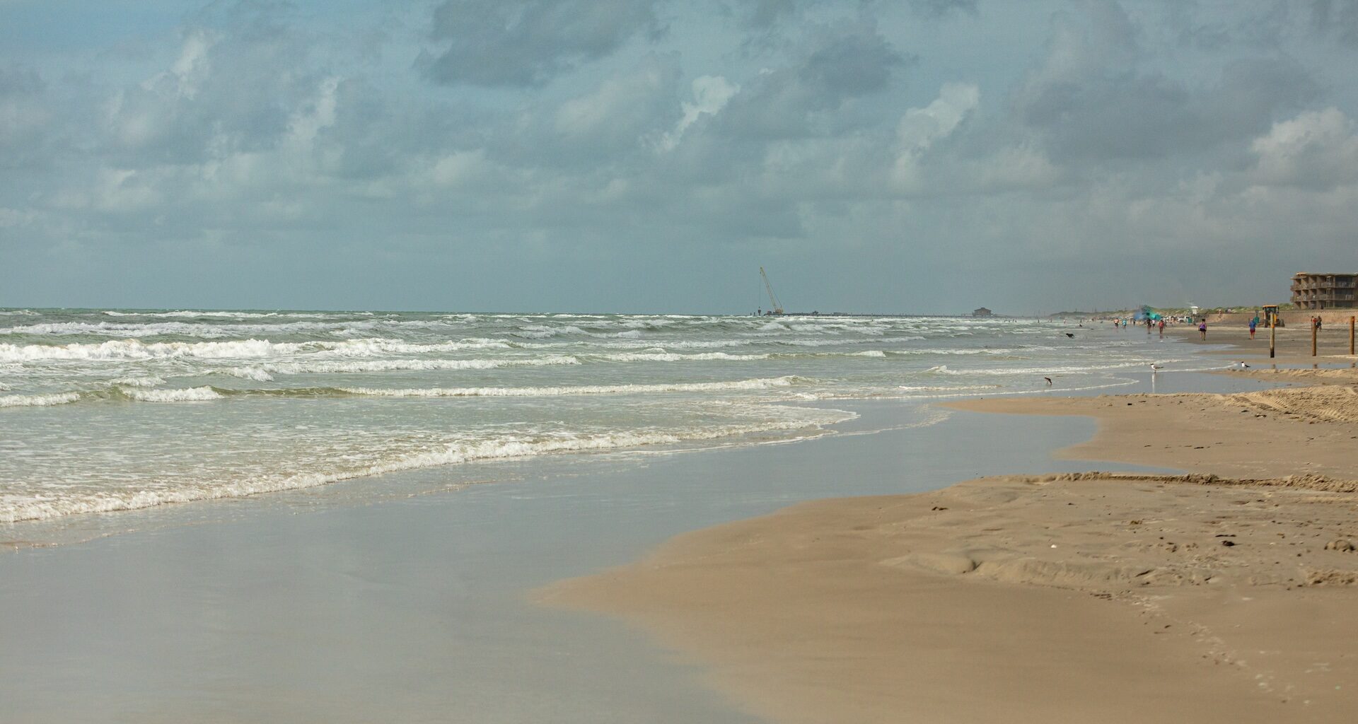 Beachgoers in Texas are seeing increasing numbers of invasive jellyfish washing ashore.