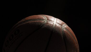 Prep basketball roundup: Davies boys fall to Spring Lake Park - InForum