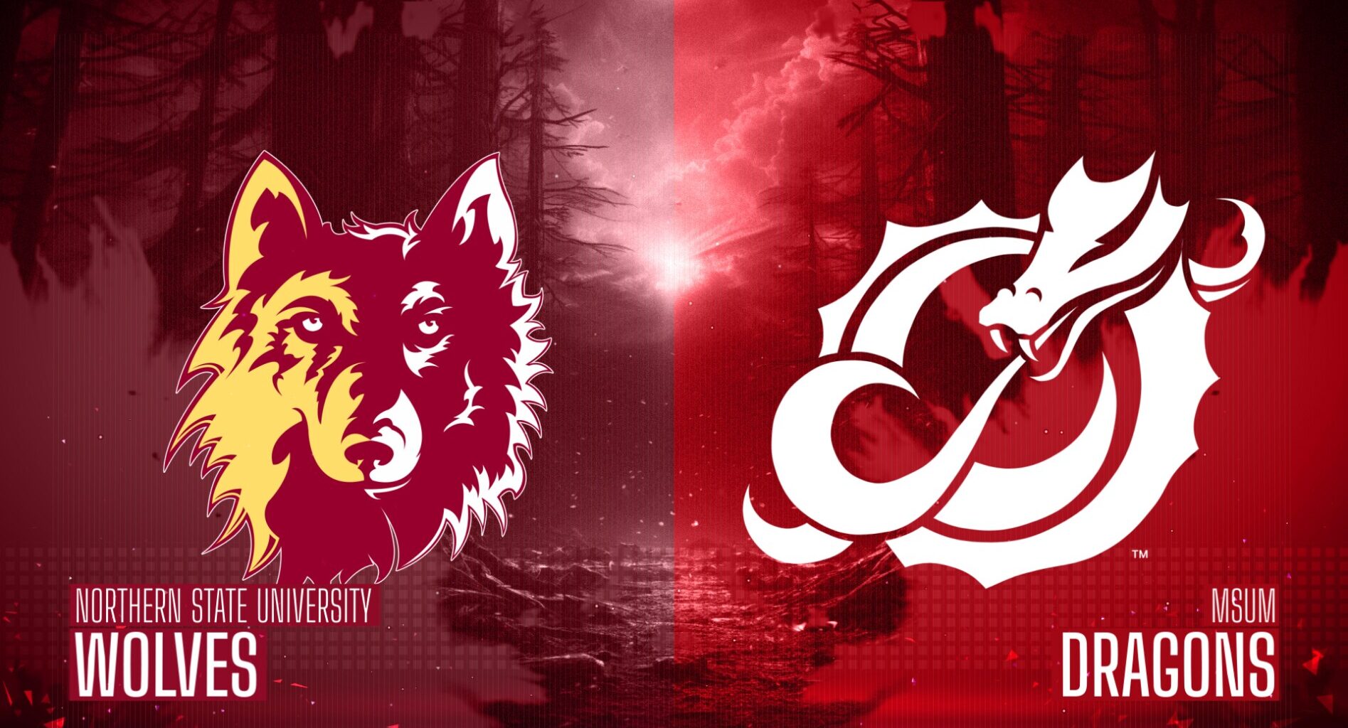 Live tonight: MSUM basketball on WDAY+ - InForum