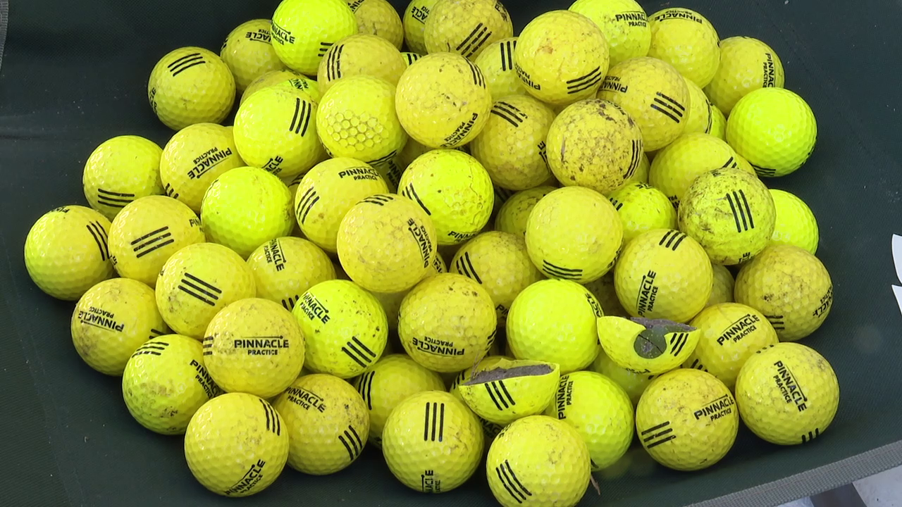 Sun City Center man concerned about damaged homes, safety from golf balls flying over netting