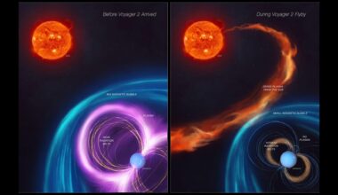 Two side by side illustrations showing Uranus's spin and magnetic field with the Voyager 2 spacecraft flying nearby
