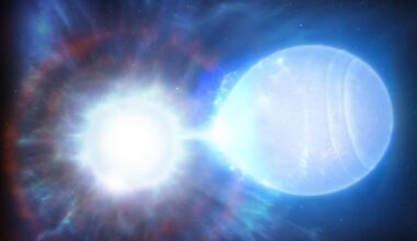 white dwarf supernova