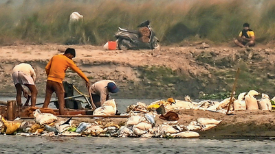 Yamuna sand mining: Mid-river digs to illegal ramps, NGT panel finds major violations; GRAP curbs ignored