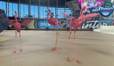 Winter Classic to be 'unique visual experience' in Miami