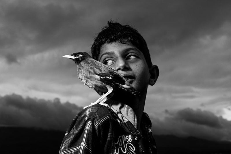 A black and white photo of a boy looking over his shoulder with a bird perched on his left shoulder, set against a dramatic cloudy sky.