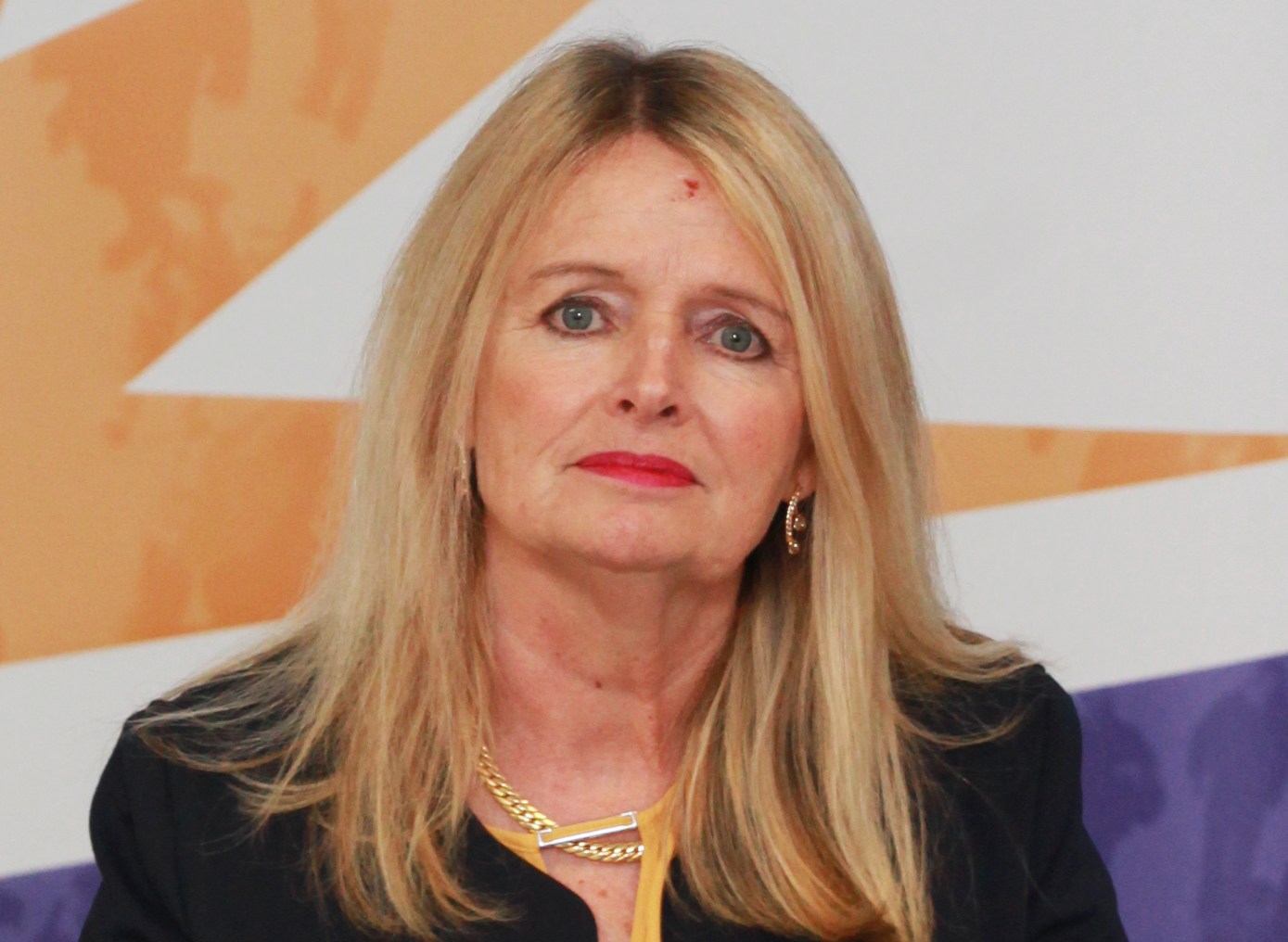 Professor Catherine Comiskey, Chair of NACDA, seated at a table with a water bottle and signage for the National Advisory Committee on Drugs and Alcohol.