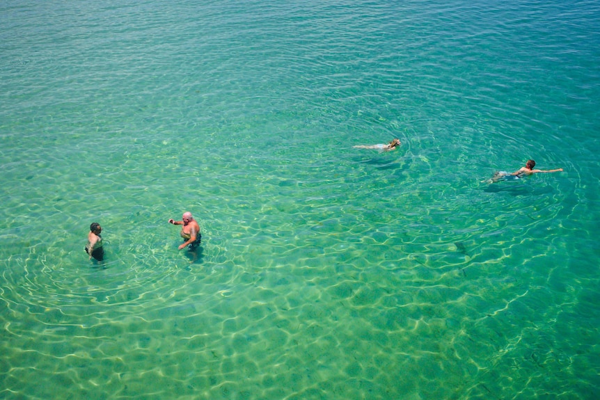 People swim in the water at a beach.