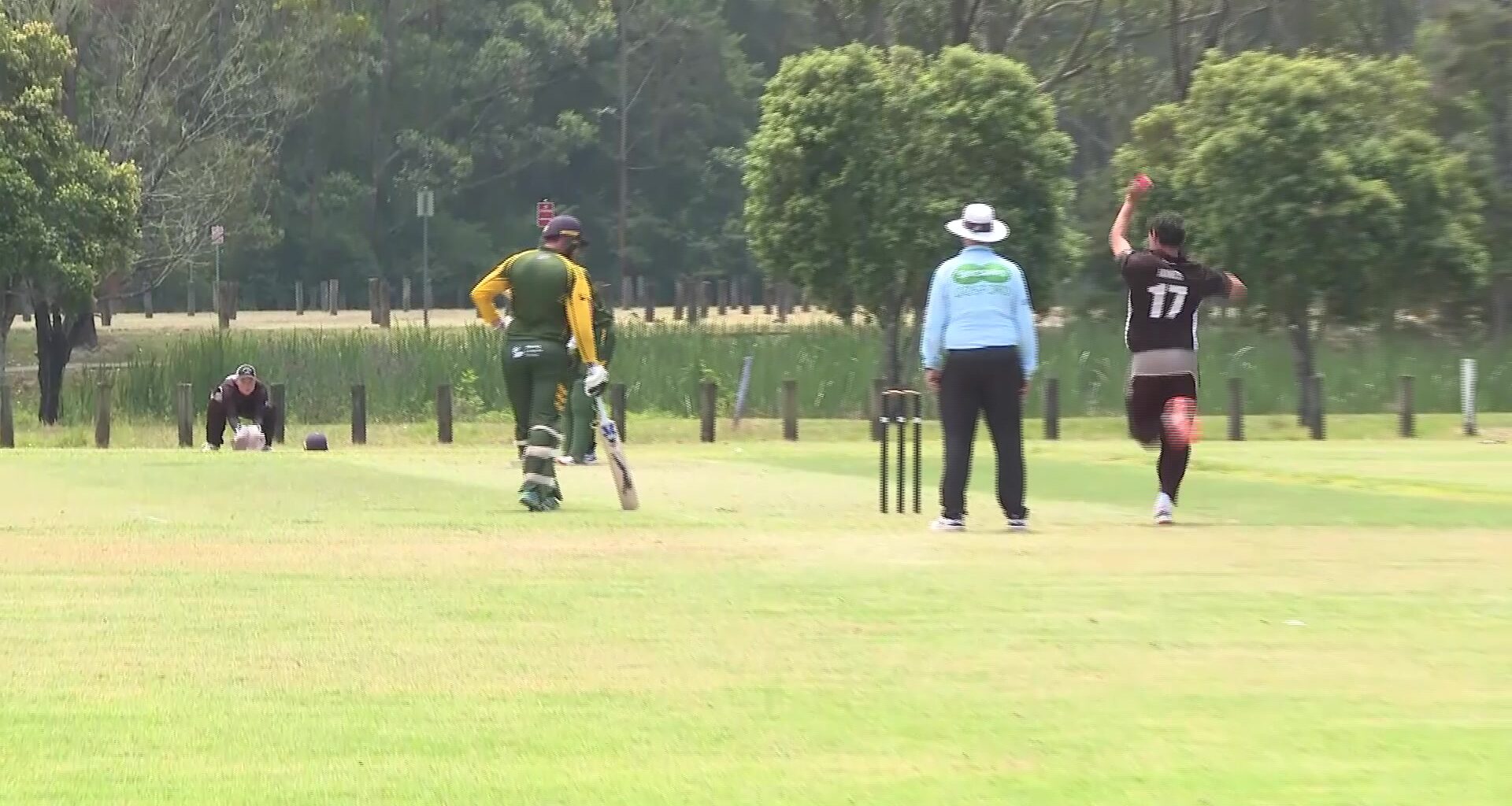 Lisarow first grade set their sights on finals cricket – NBN News