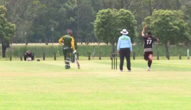 Lisarow first grade set their sights on finals cricket – NBN News