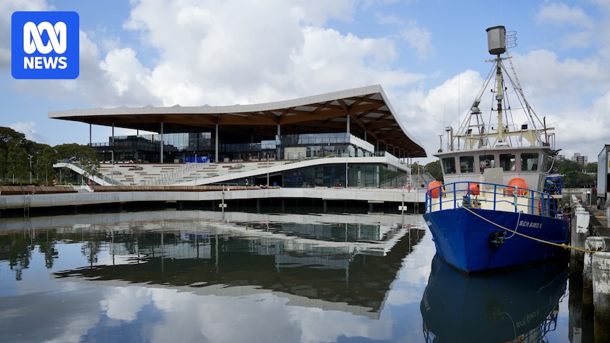 Sydney Fish Market vendors to prepare for 'teething problems', ferry wharf still to come
