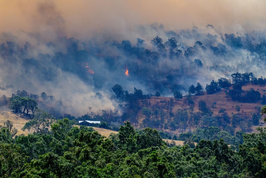 A thick cloud of smoke rises from a burning, tree-lined hillside behind a rural property.