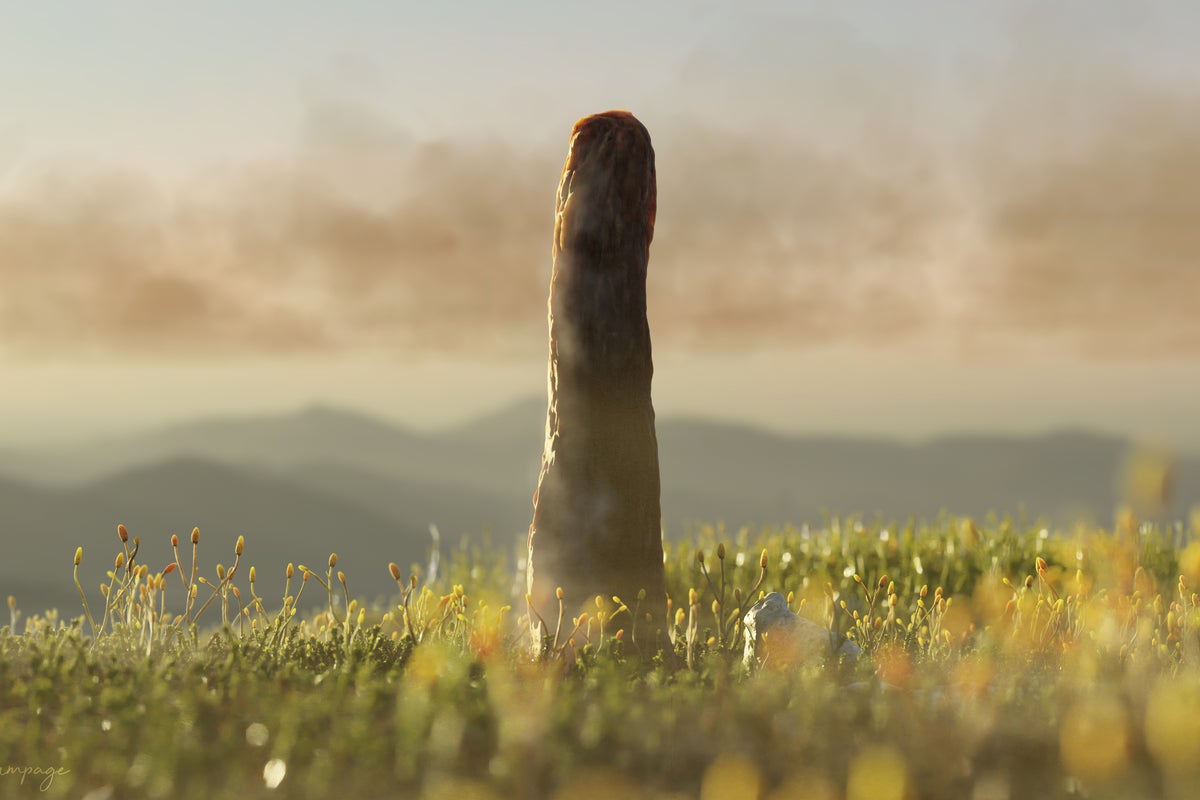 Giant mystery fossil reveals secrets of whole new form of life that no longer exists