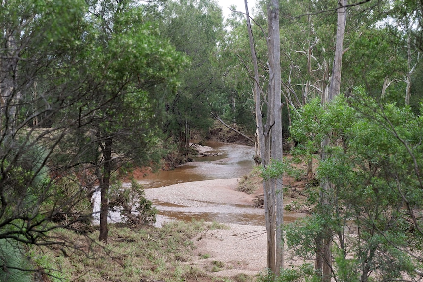 A creek runs through the bush, looking dry but earlier had high flood waters throught it.