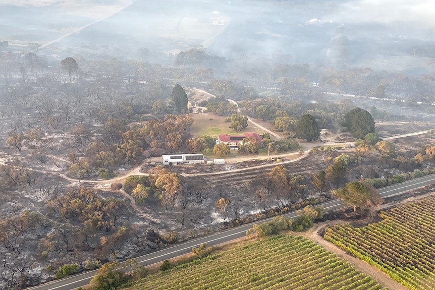 An aerial shot of burnt fireground with a property in the middle, unscathed.