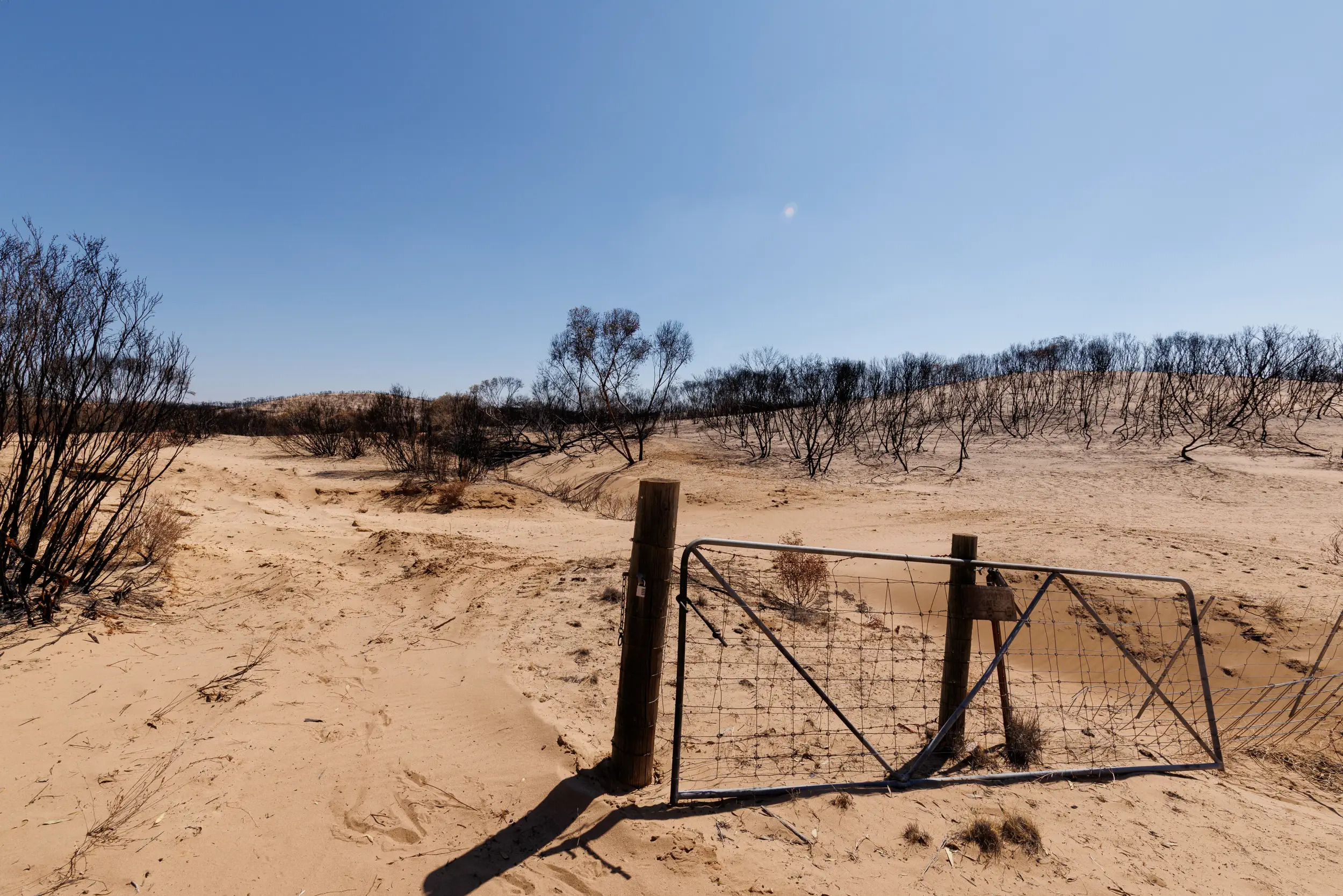 A gate and fence at the edge of the Wyperfeld conservation area. The landscape has been scorched by fire.