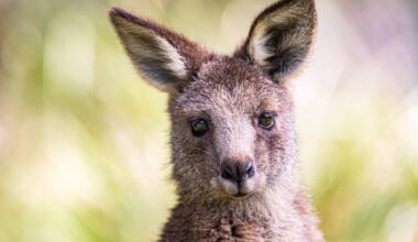 Yahoo lifestyle home