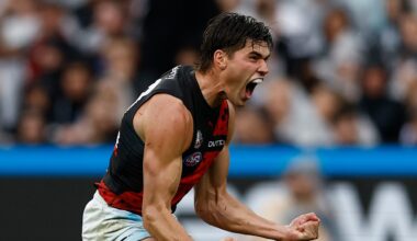 Essendon Bombers floor and ceiling; Zach Merrett; Andy McGrath