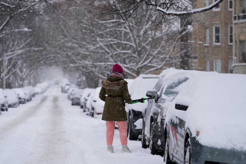 A woman scrapes snow from a car on street lined with snow-covered vehicles.