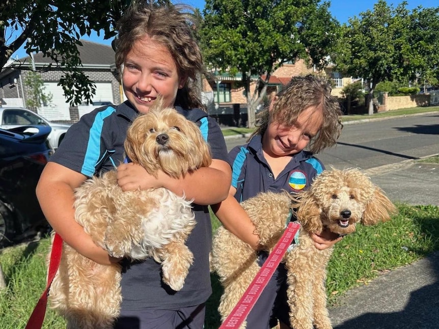 Two girls holding dogs
