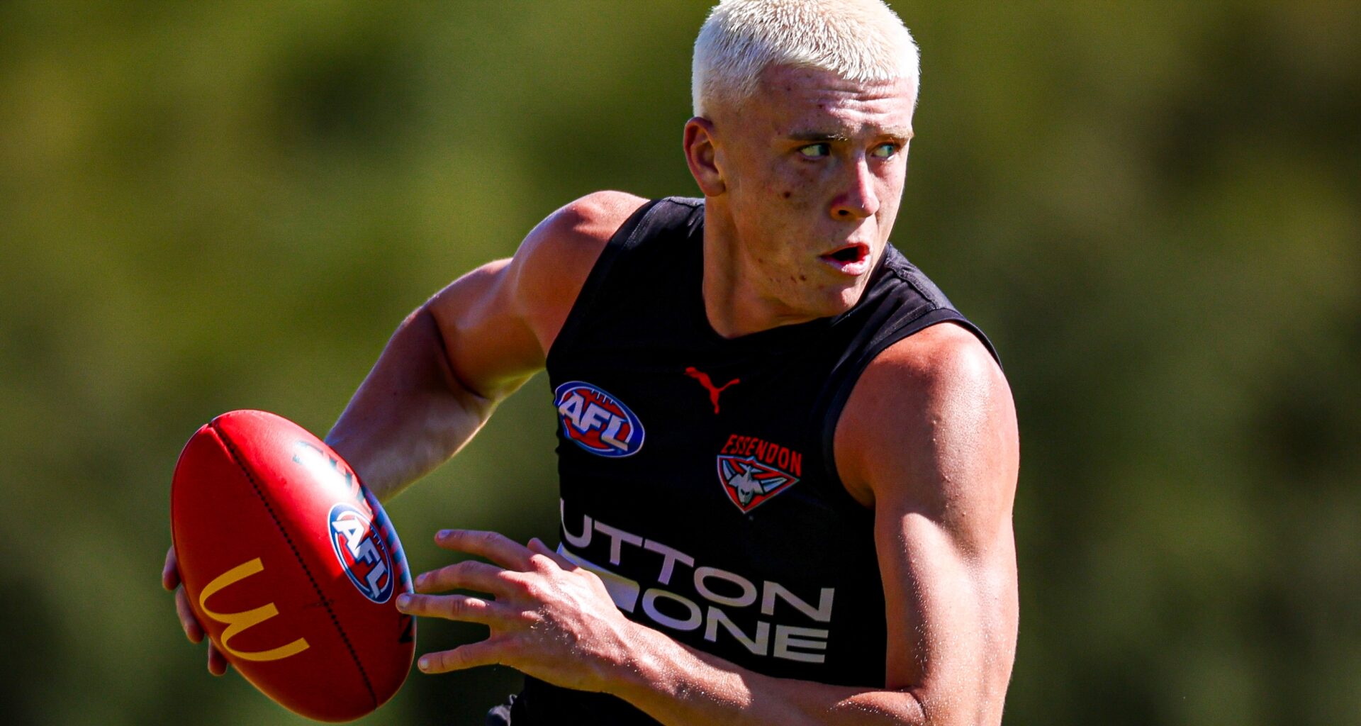 Caddy and Parish shine, youngsters battle strongly against experienced Dons