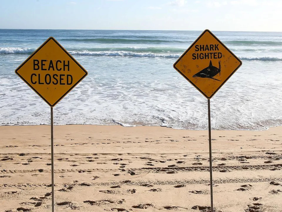 NSW BEACHES SHARK LOCKDOWN