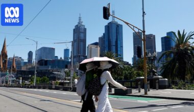 Temperature could reach 48 degrees in northern Victoria as state set to swelter through heatwave