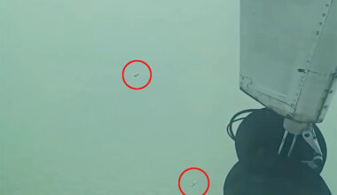 Passenger spots 'scary' scene from window while flying over Australian waters: 'There were so many'