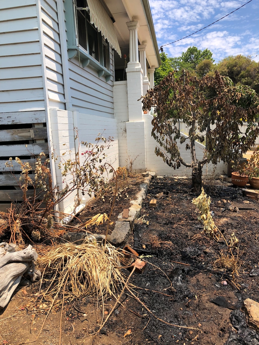 Bushfire damage through the yard of a home in Harcourt, regional Victoria.