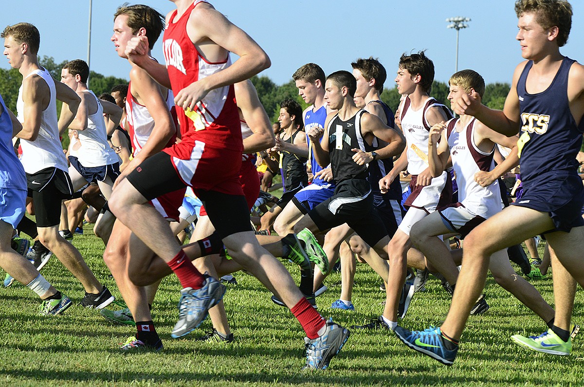 Chattanooga area has 15 all-state picks combined in cross country, golf