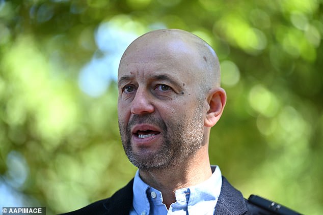 Cricket Australia chief Todd Greenberg (pictured) said that the governing body was unhappy about comments made by former player and broadcaster Stuart Clark