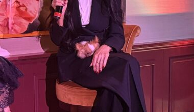 Demi Moore attended a private screening and discussion of Kate Hudson's Neil Diamond movie Song Sung Blue at Soho House in Los Angeles on Wednesday. The star was dressed in a black suit and white shirt with stiletto heels and carrying her petite dog Pilaf