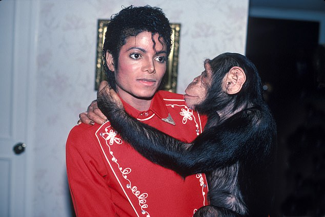 Michael Jackson took Bubbles on tour with him. Jon Bon Jovi recalled partying with the chimp in a 2024 interview