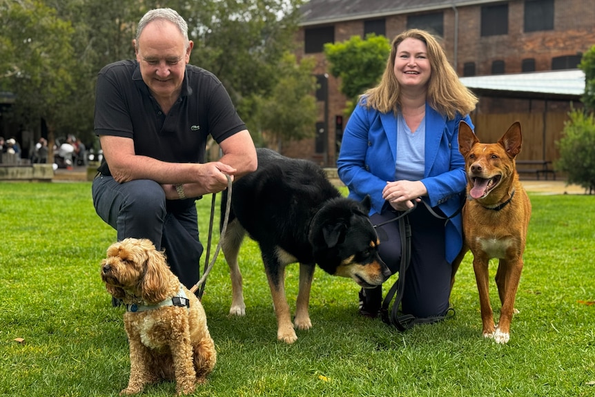 nsw minister Tara Moriarty kneels next to three dogs along with Stephen Albin from Animal Welfare League