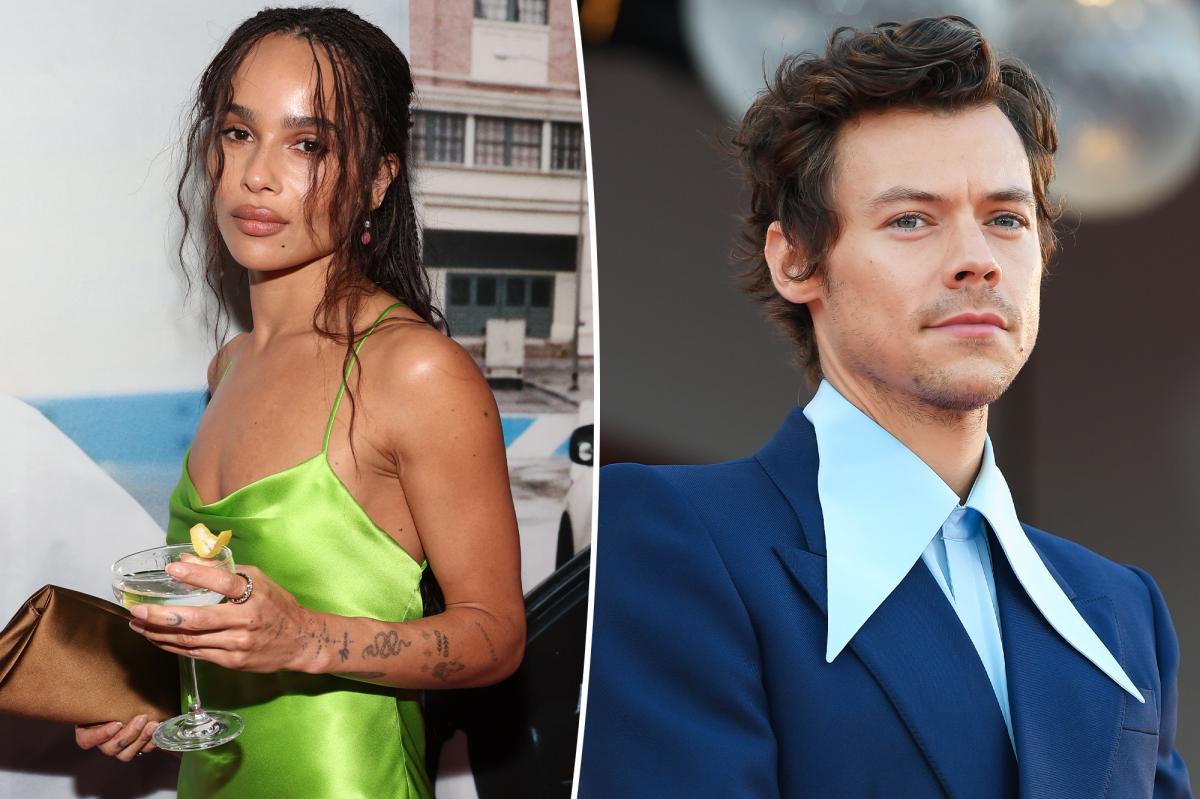Zoe Kravitz thinks Harry Styles is her 'soulmate'