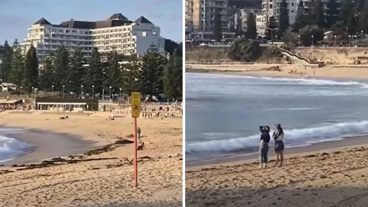 Wild footage as shark leaps near teens
