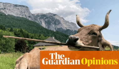 So a cow can use a stick to scratch its backside. When will we learn that humans are really not that special? | Helen Pilcher