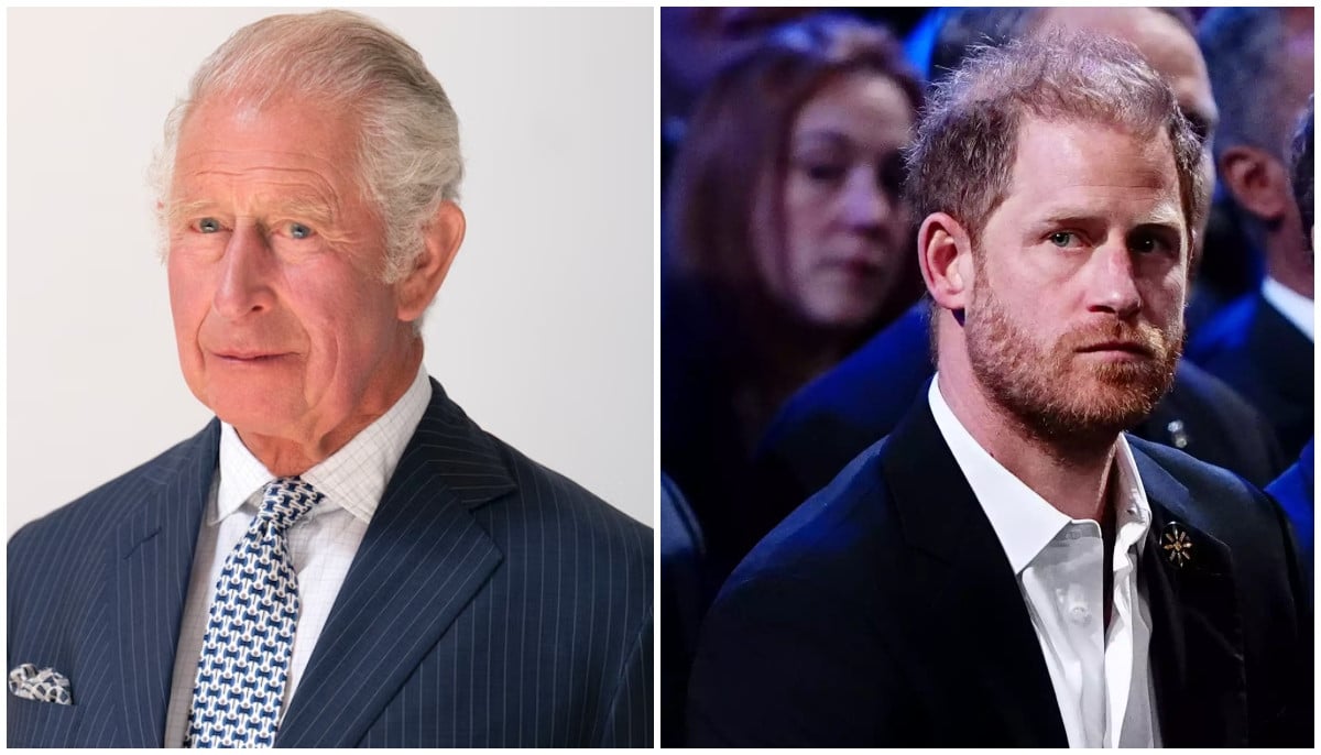 King Charles revisits Prince Harry’s part-time royal status: ‘Meghan is horrified by him’