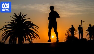 'Most significant' heatwave in six years brings temperatures above 45C