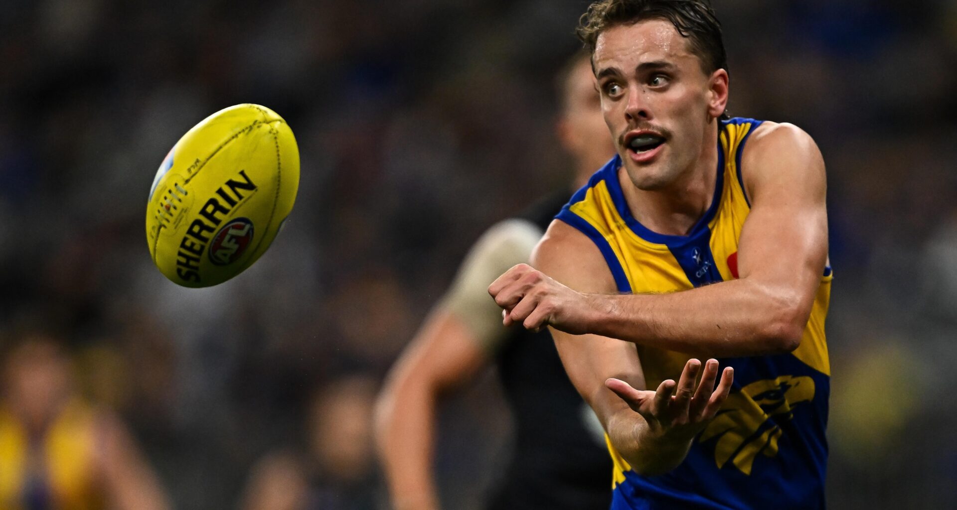 McCarthy tackles his first full pre-season