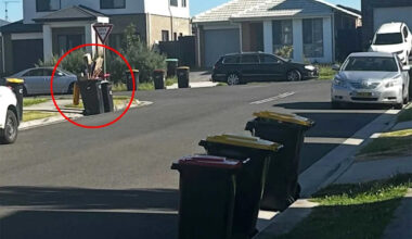Warning over common sight after holidays that could leave your rubbish bin uncollected