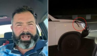 Red-bellied black snake hitches a ride on ute from Caboolture to Sunshine Coast