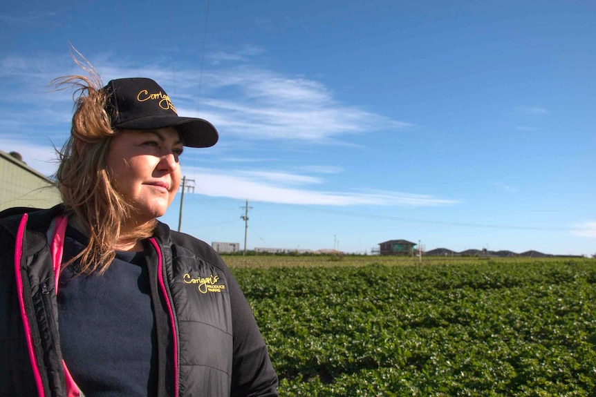 A smiling Deborah Corrigan looks over one of her crops, with a new housing development in the background.
