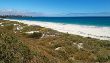 Mindarie Shark incident: Teenager hospitalised after incident at Catalina beach