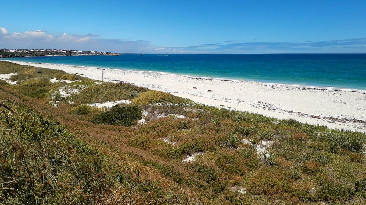 Mindarie Shark incident: Teenager hospitalised after incident at Catalina beach