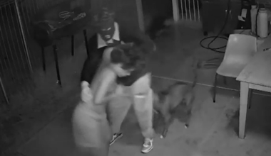 WA man sentenced over horror kidnap of two little boys from their beds