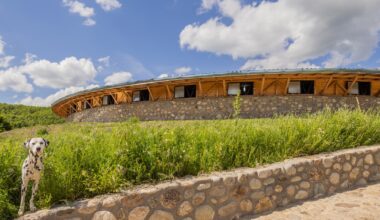 Kasollet e Zanave / Maden Group