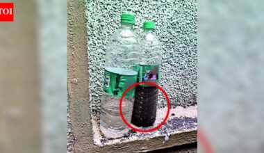 ‘Foul-smelling, discoloured’: Sewage in drinking water triggers Indore-like scare in Bengaluru; 30 houses on 1 lane hit | Bengaluru News