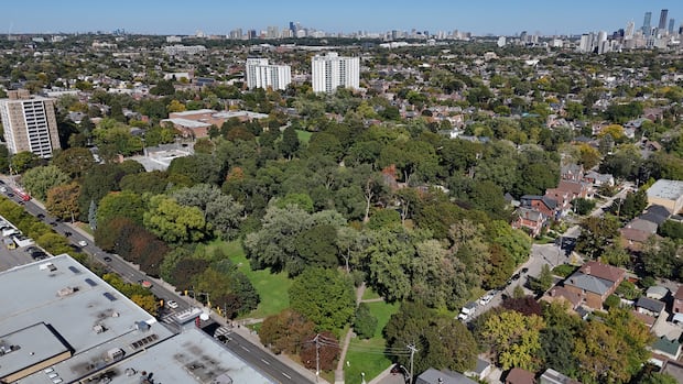 The unique program behind Toronto’s effort to conserve its biodiversity