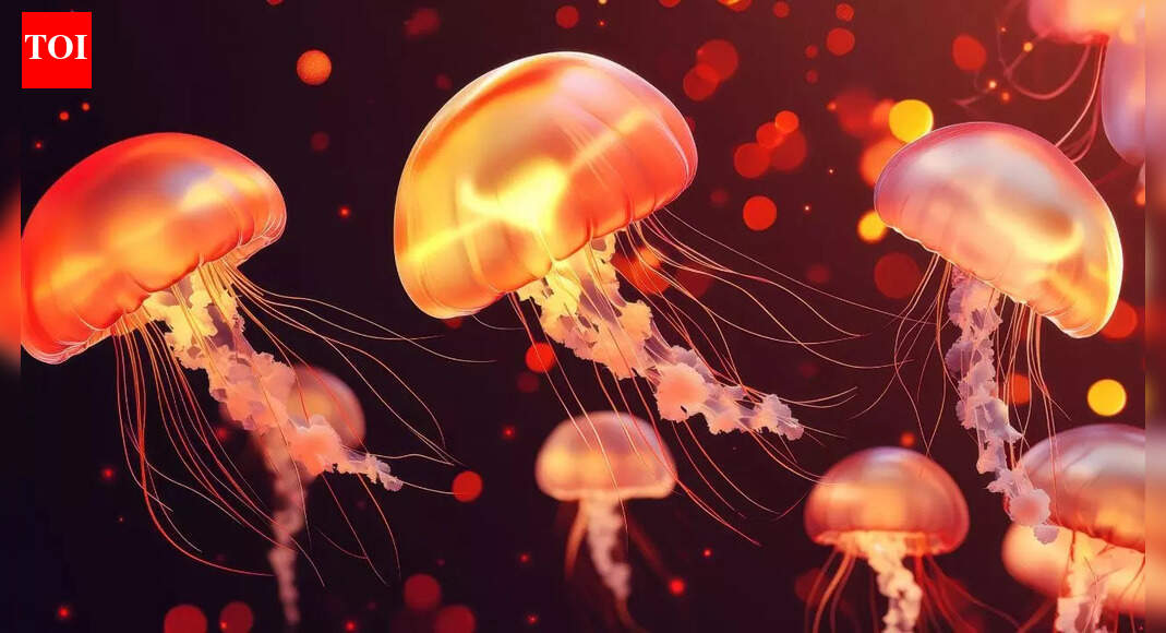 5 animals that don’t poop: The creatures that break the rules of digestion |